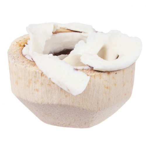 Coconut Meat